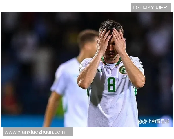 爱尔兰足球明星10号的辉煌历程与传奇瞬间回顾