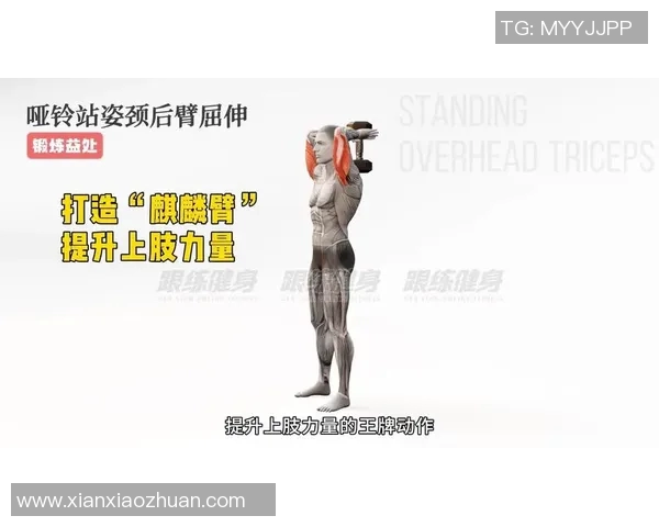 哑铃手臂肌肉锻炼全攻略助你塑造完美线条与力量提升