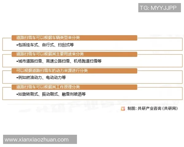 探索爬山虎体育用品品牌的创新之路与市场前景分析